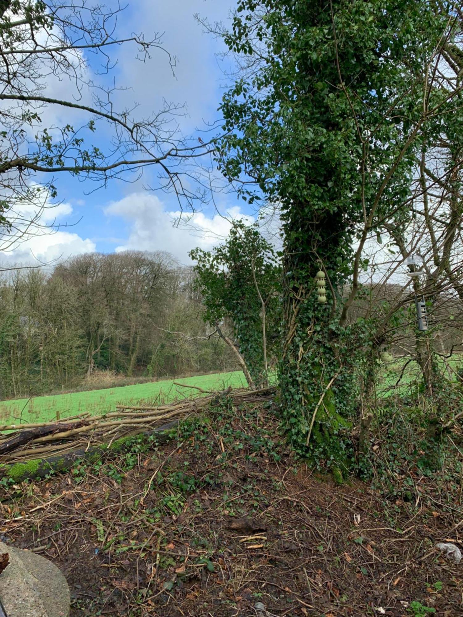 4 Devon Country, Bideford Bay Holiday Park Bucks Mills エクステリア 写真